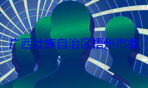 被查委副书记市长李振品广西壮族自治区梧州市